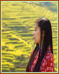 赣东北之旅