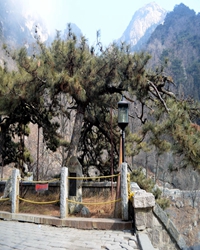 东莱岳赋记（散文）