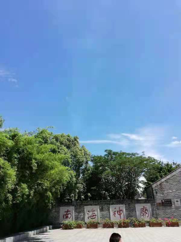 【丁香】南海神庙边包波罗粽（散文）