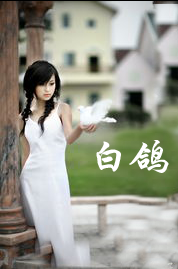 【时光】白鸽（小说）