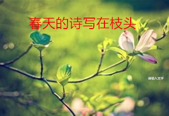【东篱】烈士墓（诗三首）