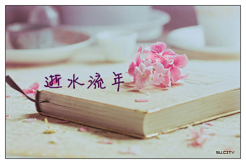 【江山·好声音】【流年】给心找一个家（小说）