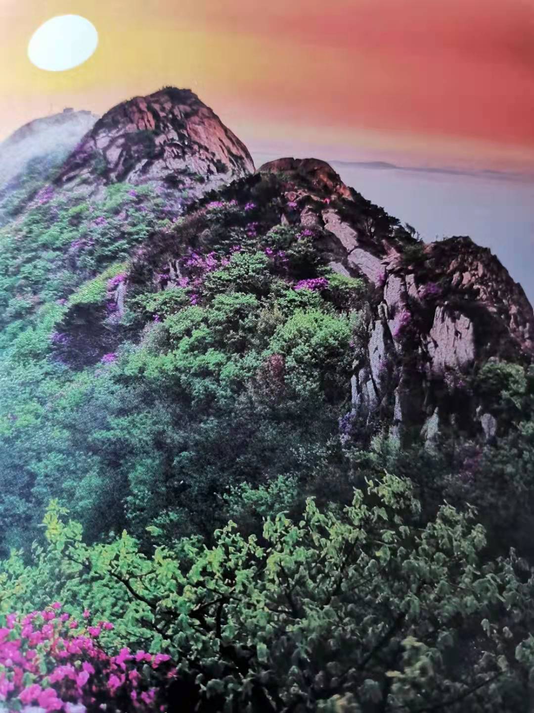 【家园】正能量与负能量（散文）