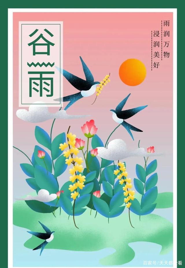【菊韵】谷雨时节话谷雨（散文）