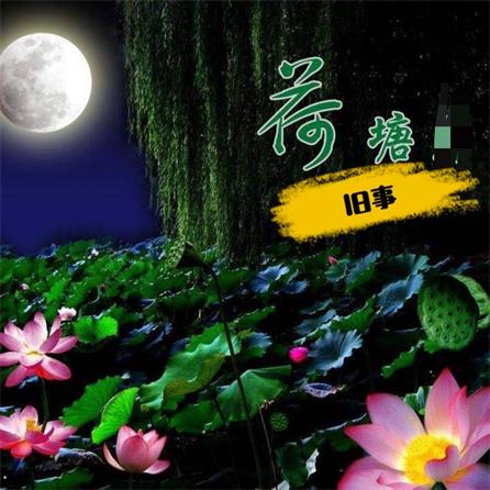 【宁静•醒】荷塘旧事（散文）