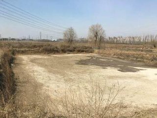 【丹枫】瘫子与拐子（小说）