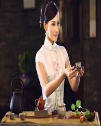 茶缘