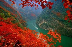 【八一】又见三峡叶正红（散文）
