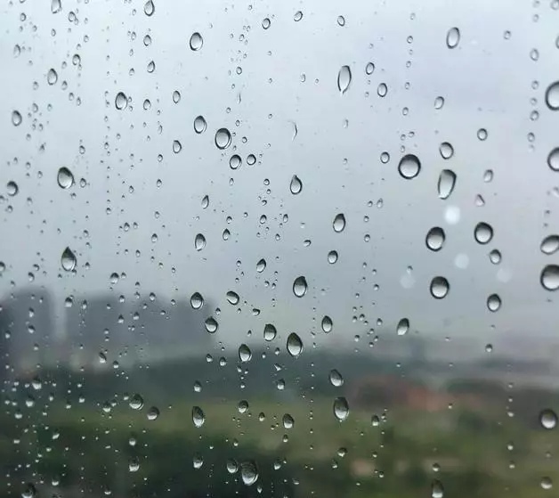 【家园】阴雨连天日（随笔.外一篇)