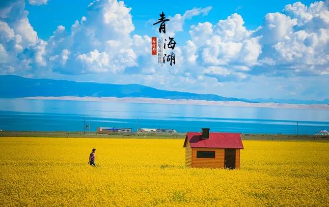 【流年】在白云般的等待中，坐一坐（组诗）