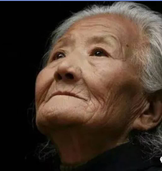 【柳岸】苹果、篱笆和老女人（散文）