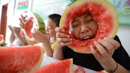 西瓜争夺战（随笔）