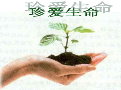 【摆渡】追不回的遗憾（散文）