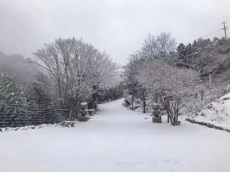 【丁香·爱心】走过落雪的大地（散文）