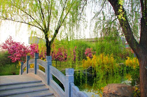 【八一】春风吹来（外一篇·家园）