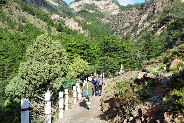 【冰心】我与贺兰山森林公园的情缘（随笔）