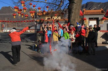 新年到（儿童诗）