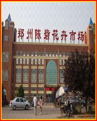陈砦：前进中的“都市村庄”