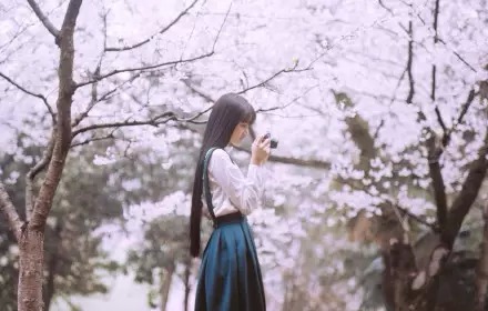 【百味】春天，我在樱花树下等你（小说）