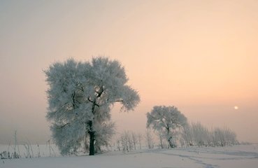 【流云】冬韵（散文）