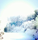【浪花】雪，你还在吗（诗歌/外二首）