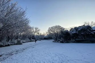 【丹枫】2022年第一场雪（随笔）