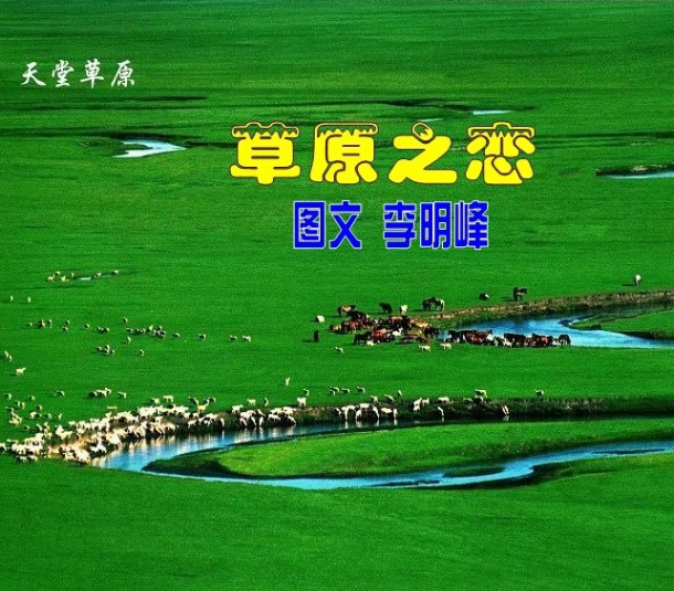 【柳岸】草原之恋（诗歌）