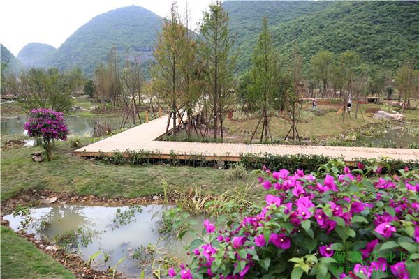 【丹枫】早春的乡村（散文）