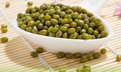 【菊韵】我的绿豆情结（散文）