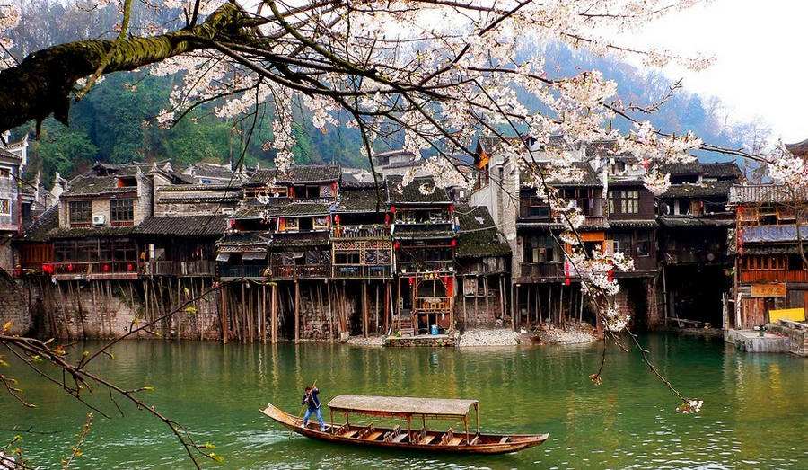 【凤凰·凤】凤凰古城说凤凰（散文）