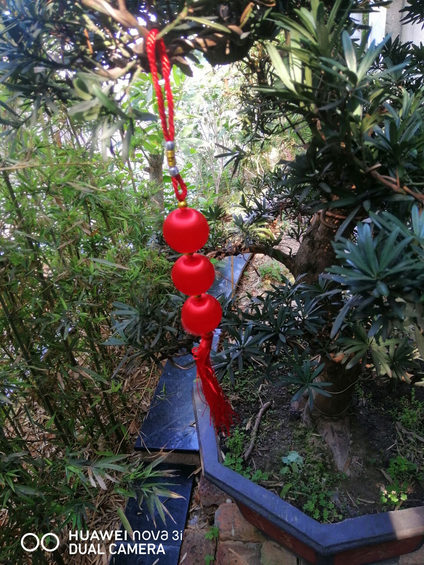 【江山·成长】【八一】浅醉的阳光（小说）
