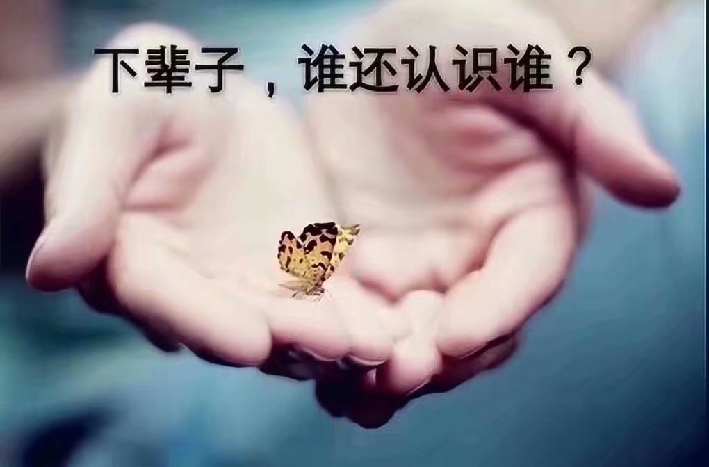 【清韵】走失（随笔）