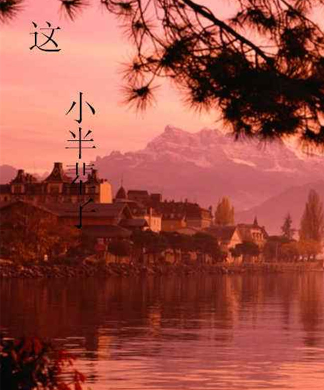 【八一】守情半辈子（小说·家园）