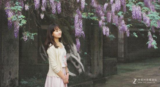 【唱词】赏紫藤花