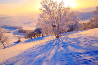 【八一】冬季到乌兰布统来看雪（散文）