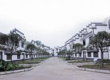 【菊韵】美丽的山门新村（散文）