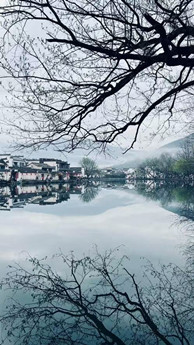 【江山·风景线】【东篱】宏村行记（散文）
