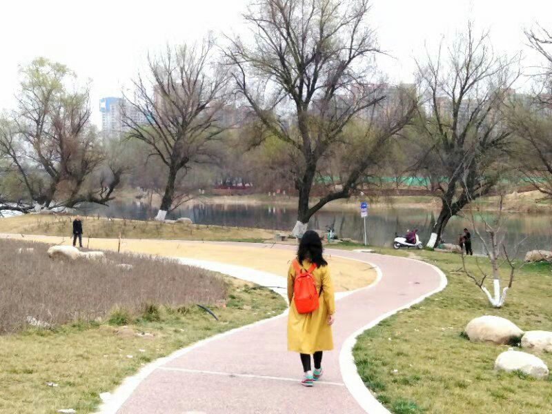 【丁香】深意总迟解，将爱却晚秋（散文）