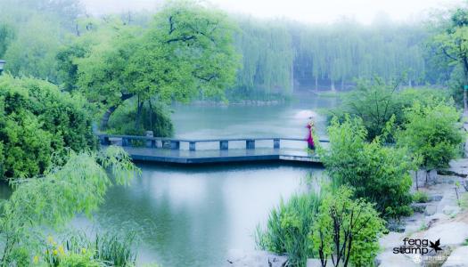 【八一】你若花开，蝴蝶自来（外一篇·家园）