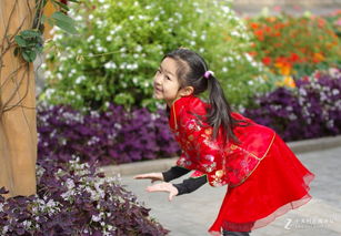 【八一】春天的芭蕾（散文）