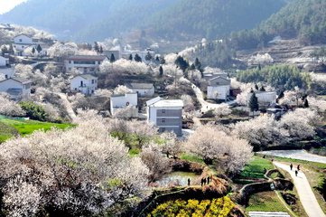 【流云】嬗变的山村（散文）