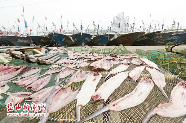 【荷塘】那飘逸的鱼鲞味（散文）