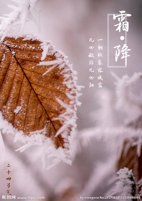 【八一】八爷（外三首）