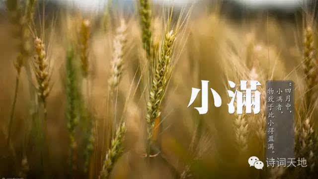 【荷塘“PK大奖赛”】节气书（散文）