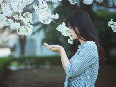 【流云】花开花落（散文）
