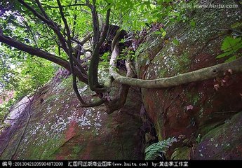 上帝赋予我生命的片刻