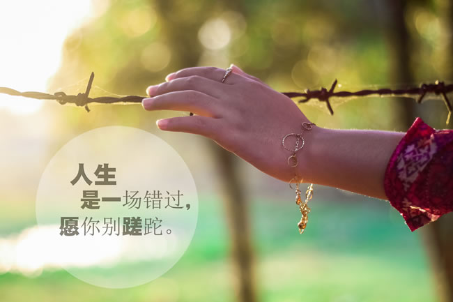 【清韵】芦苇的相思，春风的摇摆（外三首）