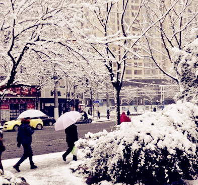 【天涯“我的生活故事”征文】故乡飘雪〔散文〕