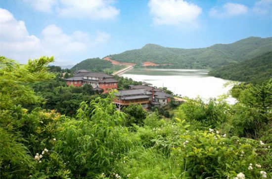 【荷塘】一眼望去是青山（散文）