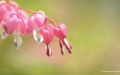 【萌芽春天】春天里的发现（散文）